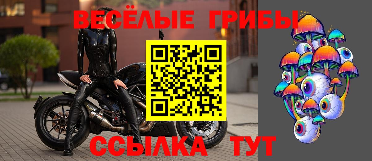 Псилоцибиновые грибы прущие грибы Сатка