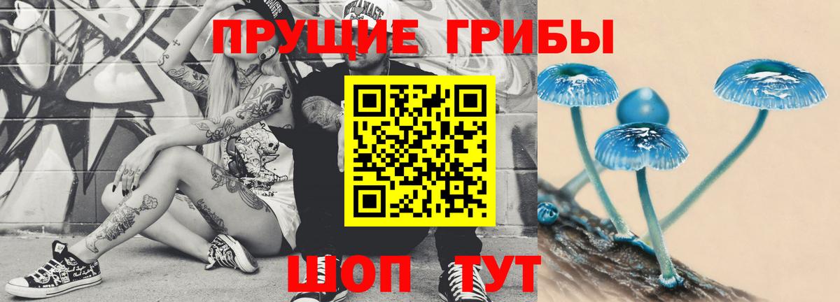 Галлюциногенные грибы Cubensis  Вход с VPN  Сатка 